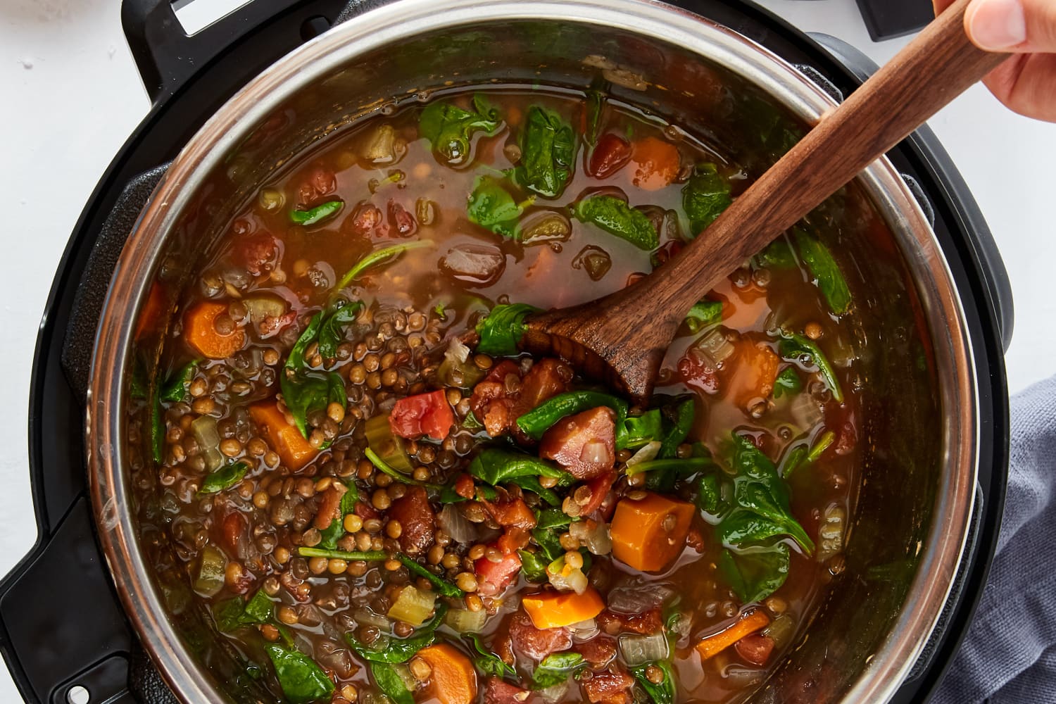 15 instant pot meatless meat vegan recipes