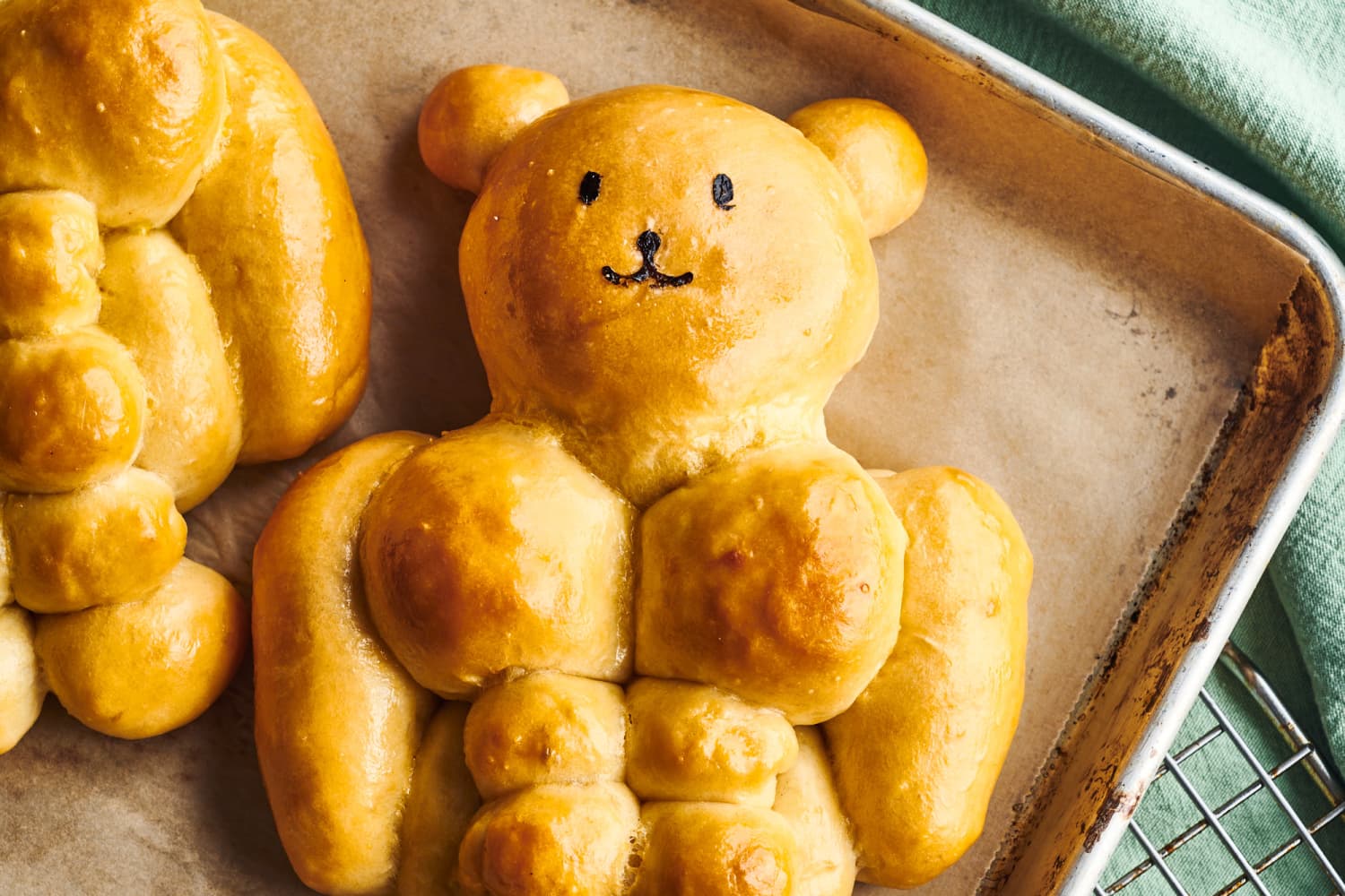 Buff stuffed bear online
