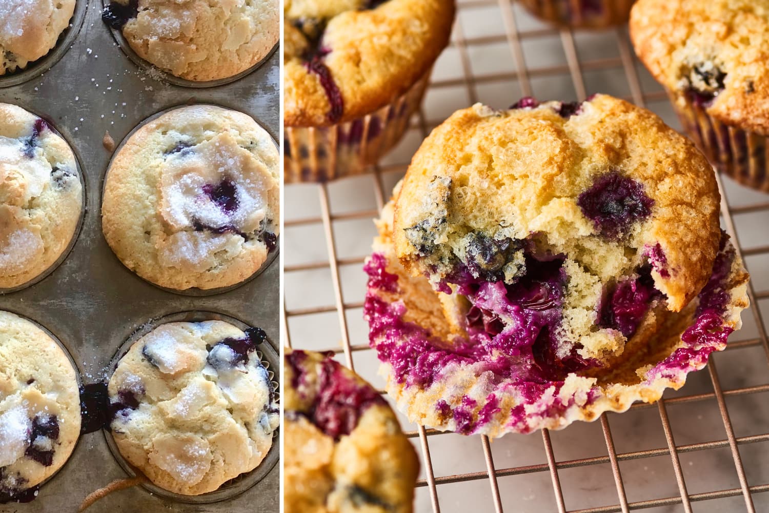 I Tried Jordan Marsh's Blueberry Muffin Recipe The Kitchn