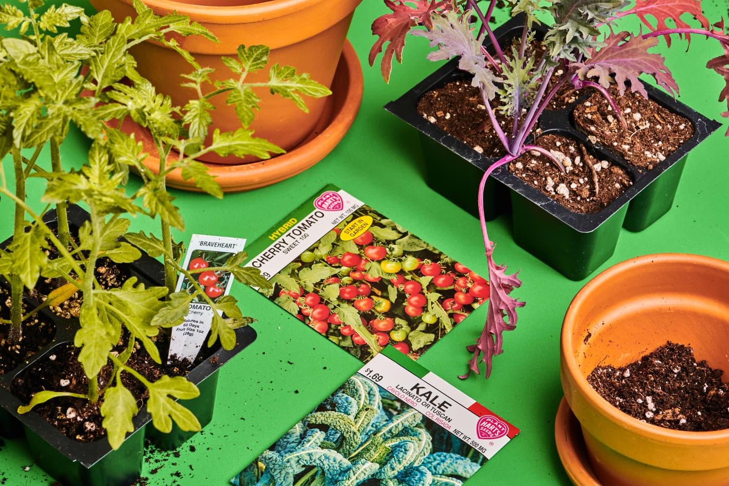 How to Grow Vegetables on Your Patio — Tips for City Vegetable