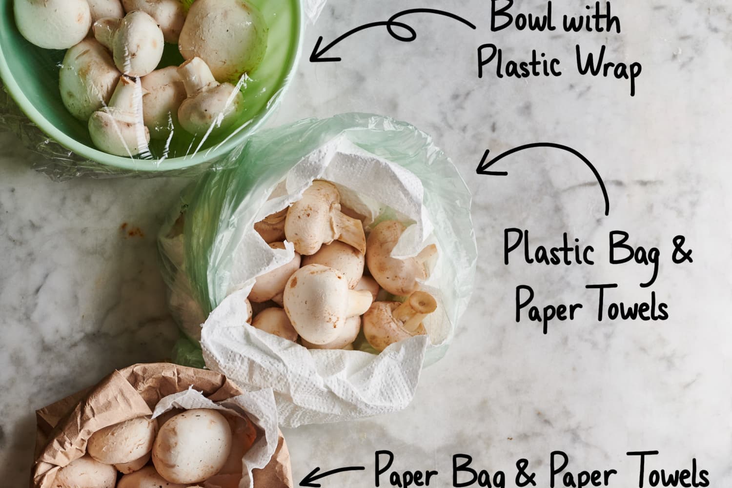 Can You Store Mushrooms In A Ziploc Bag on Sale