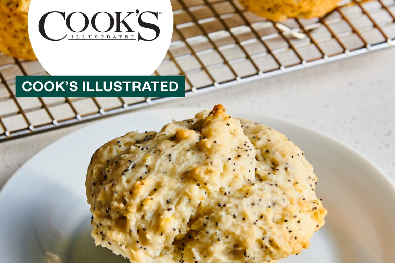 Cook's Illustrated Lemon Poppy Seed Muffin Recipe The Kitchn