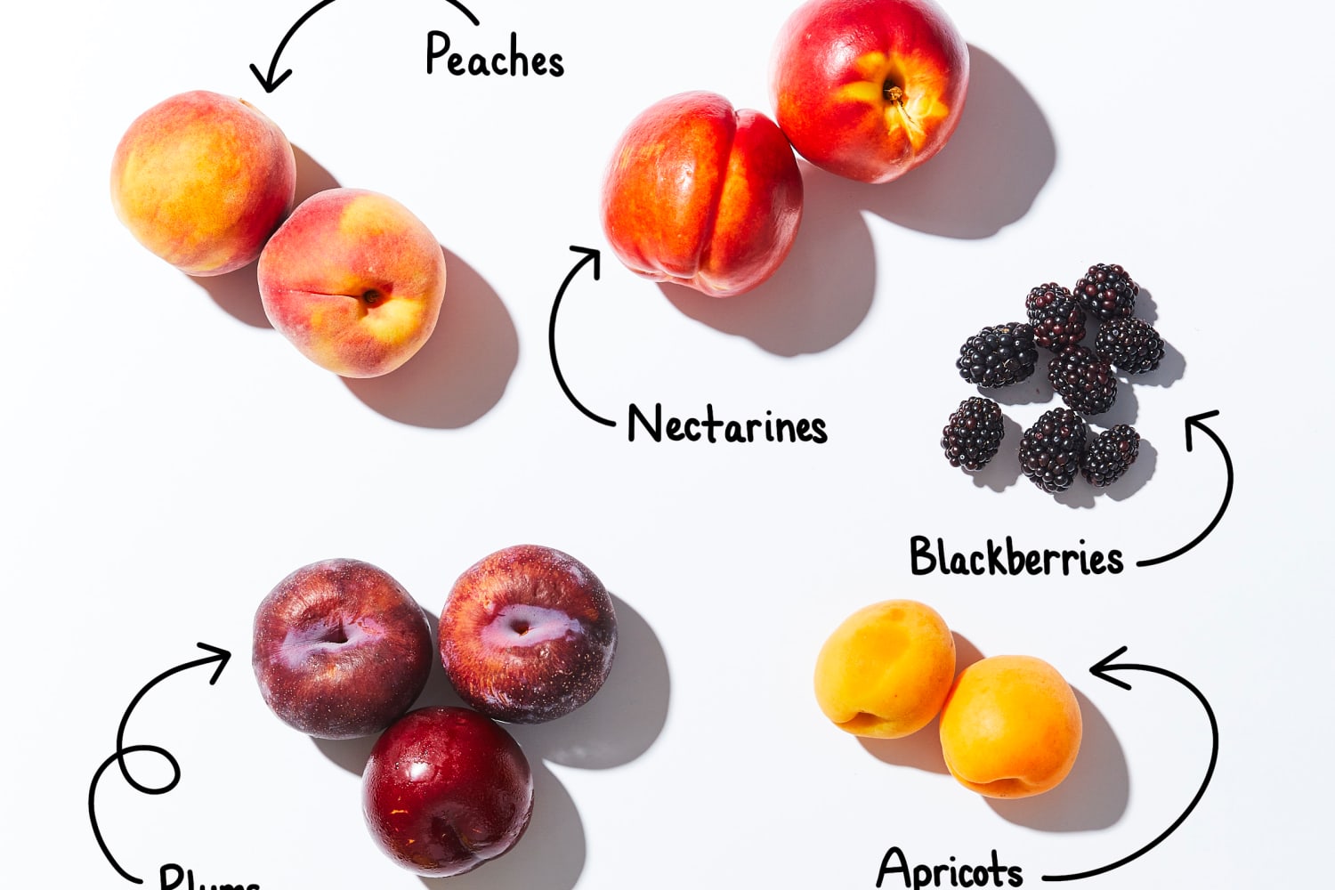 Plum apricot discount