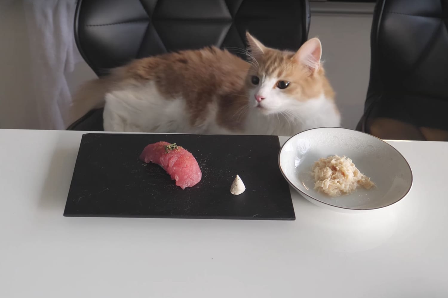 Cat sushi discount