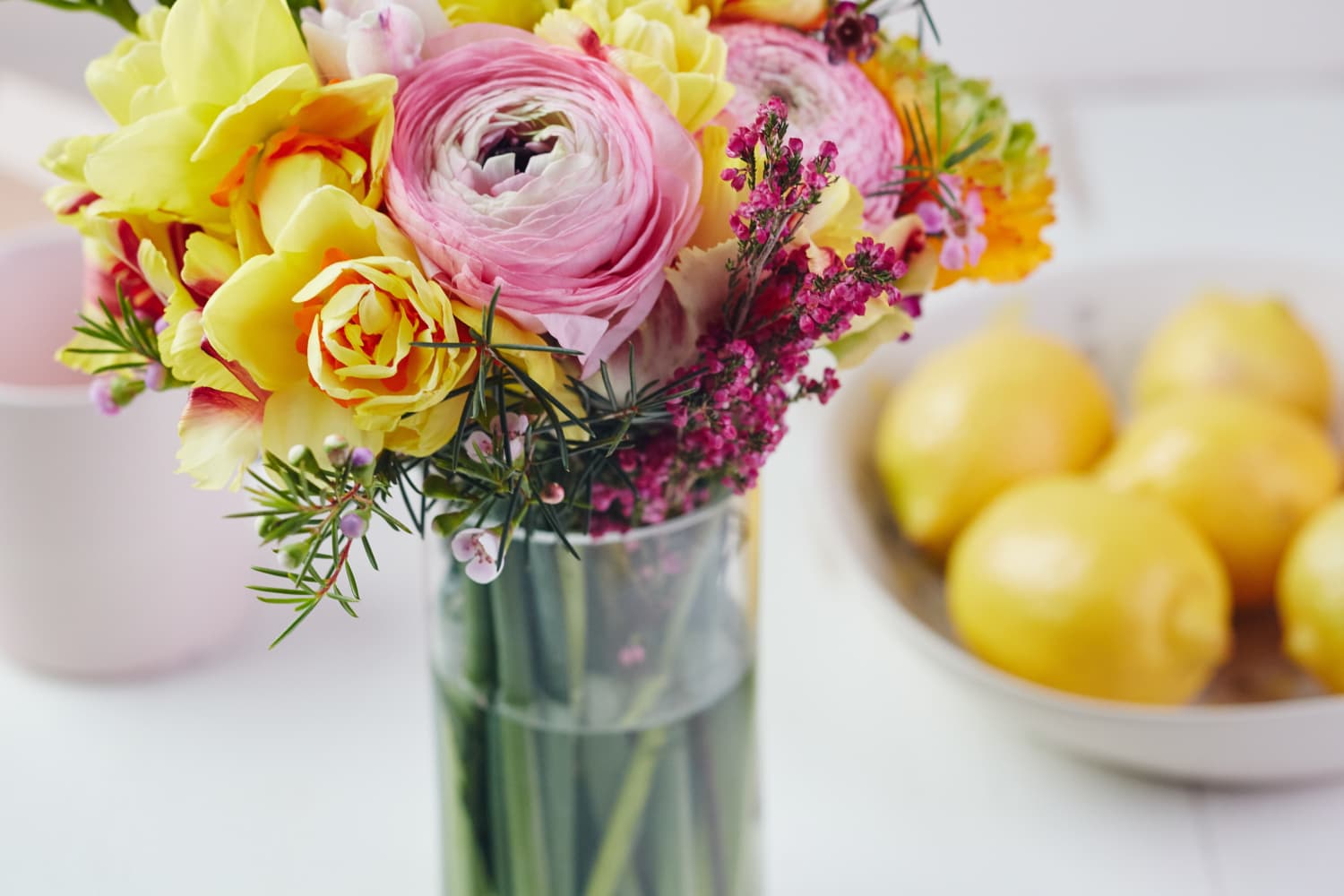 8 Mother’s Day Flowers and Plants That Will Bring Spring Indoors