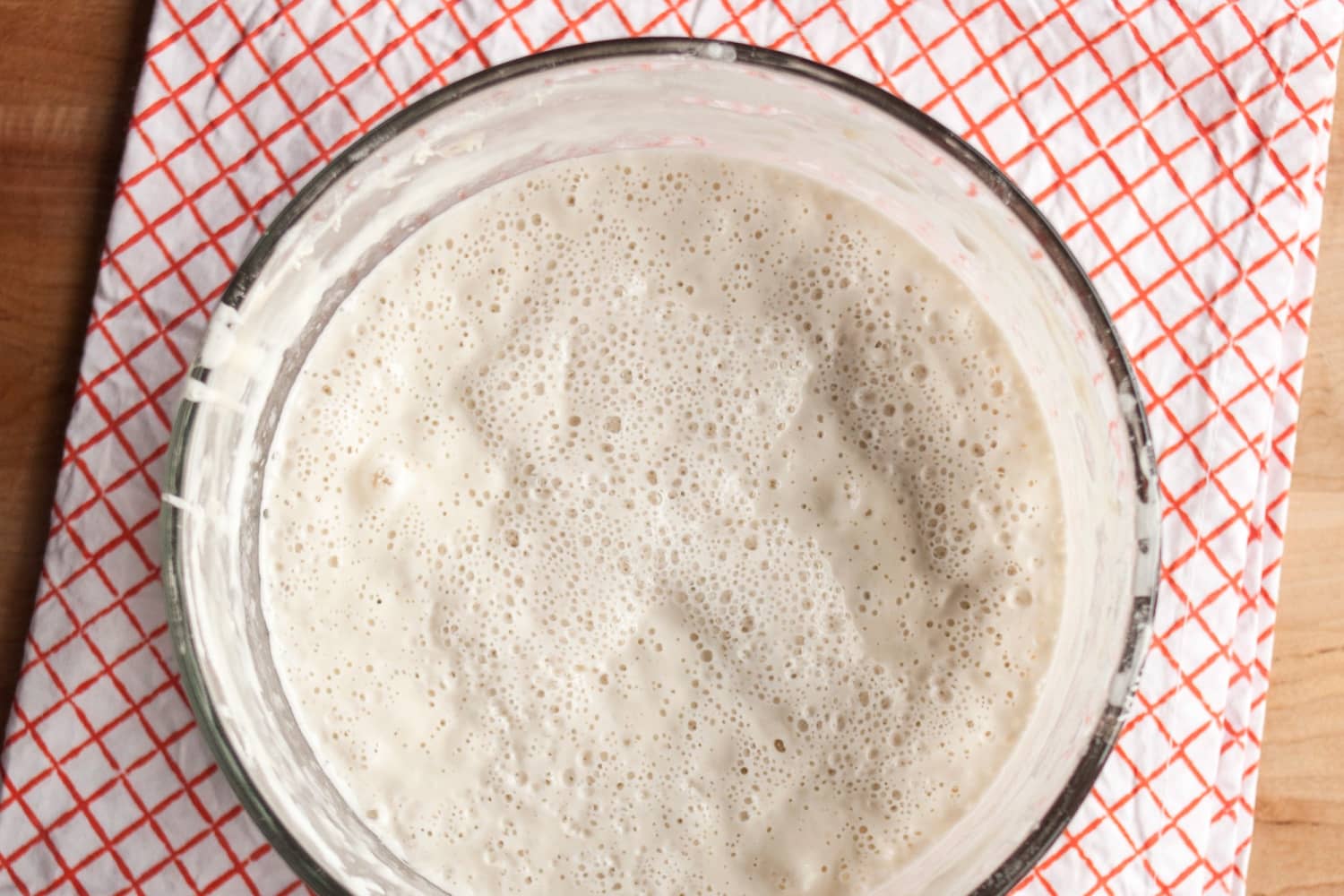 How to Take a Sourdough Starter break The Kitchn