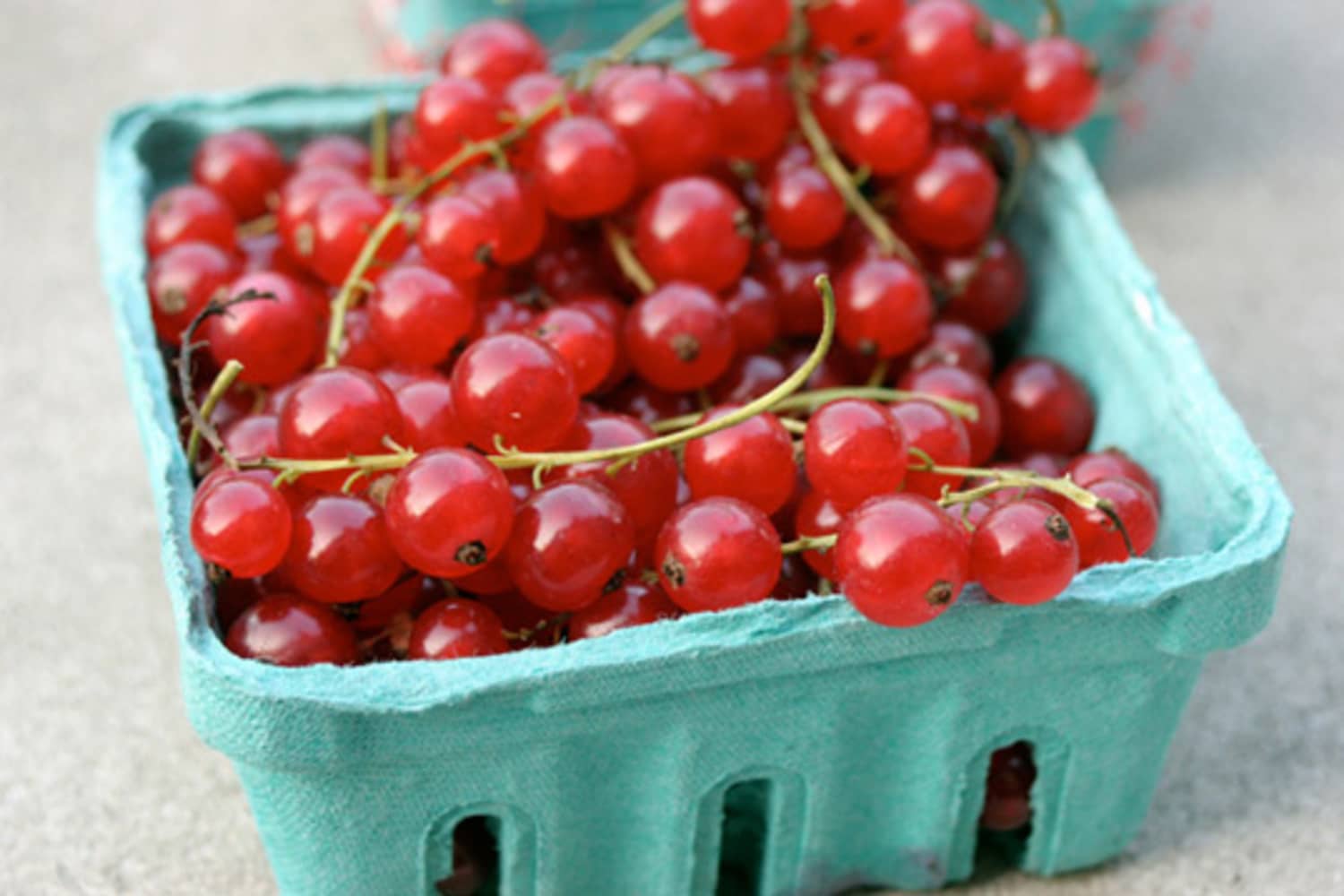 Unloved Berries: Give Currants a Chance! | The Kitchn