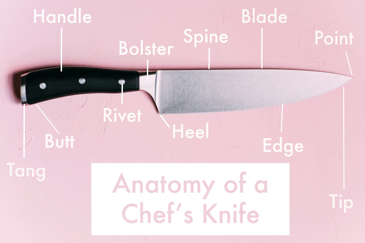 Anatomy of a Chefs Knife What Each Part Is Called The Kitchn