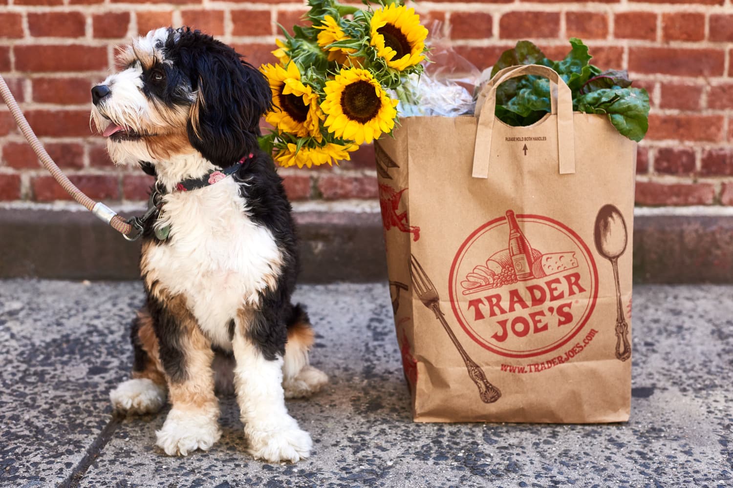 Trader Joe s Has Restocked Its $1 Advent Calendar Apartment Therapy