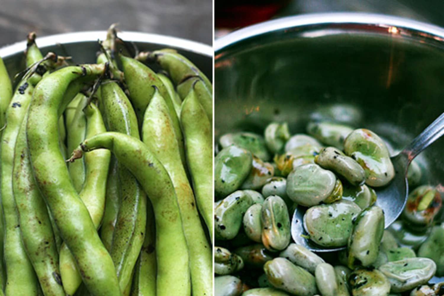 Can dogs eat fava beans new arrivals