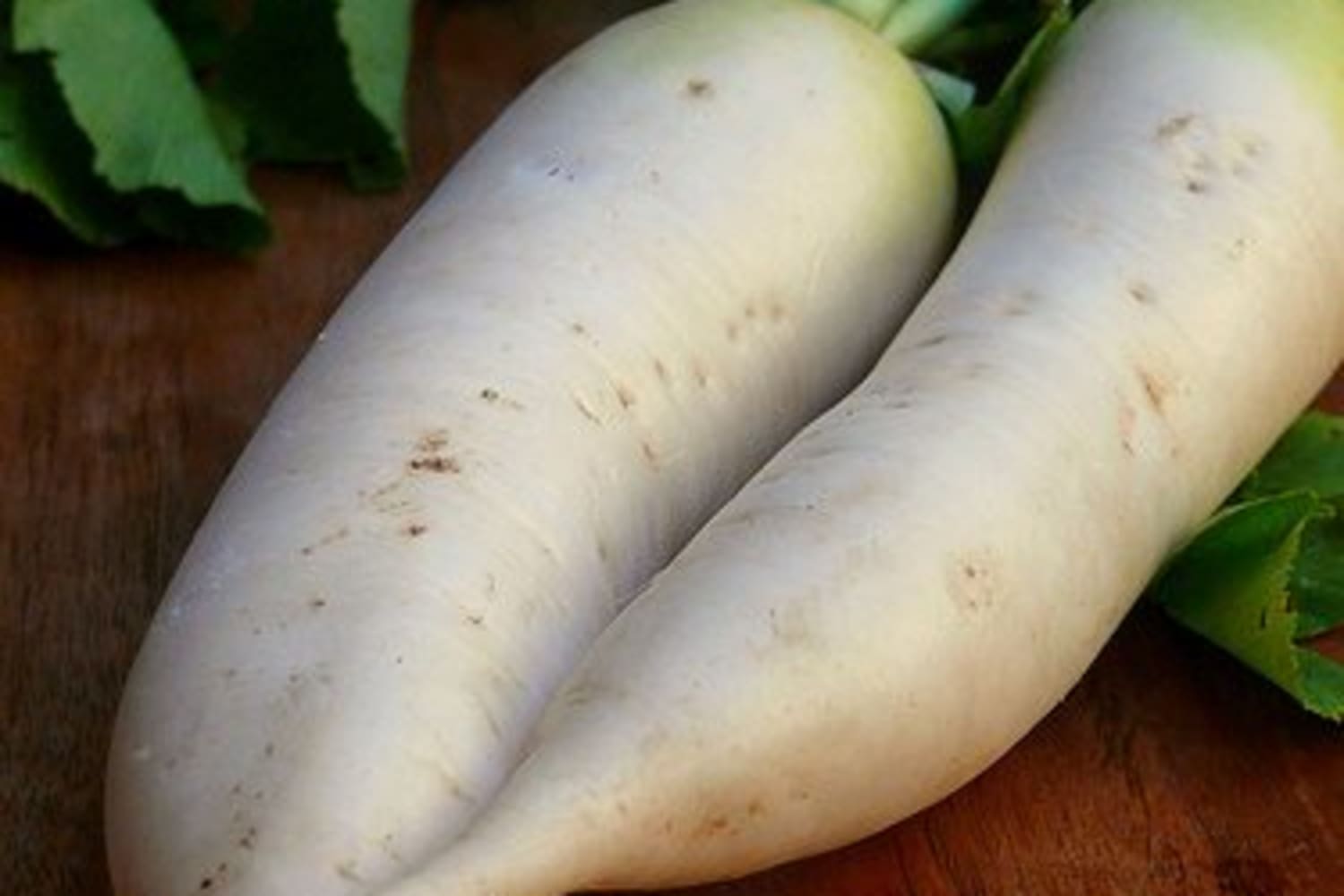 Daikon