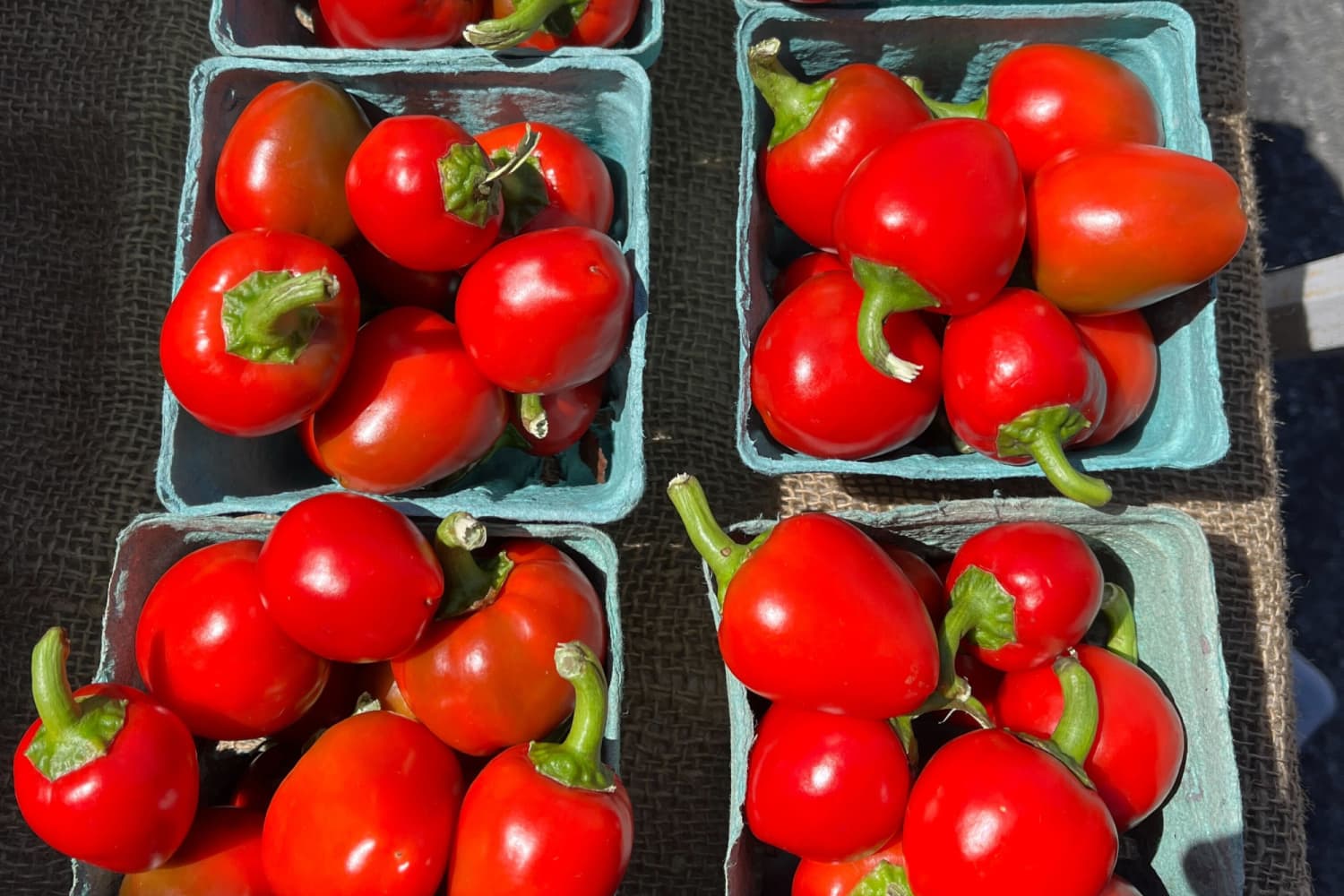 Sweet cherry peppers top
