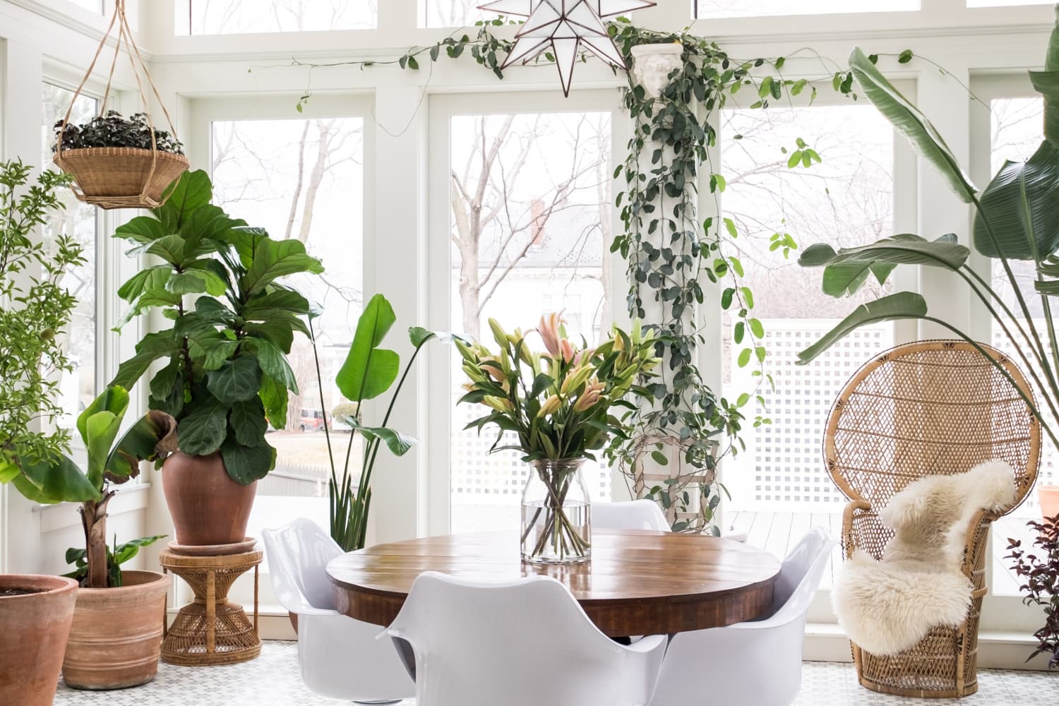 hydroponic plants indoor Awesome Plant 6Pro Indoor Hydroponic Garden