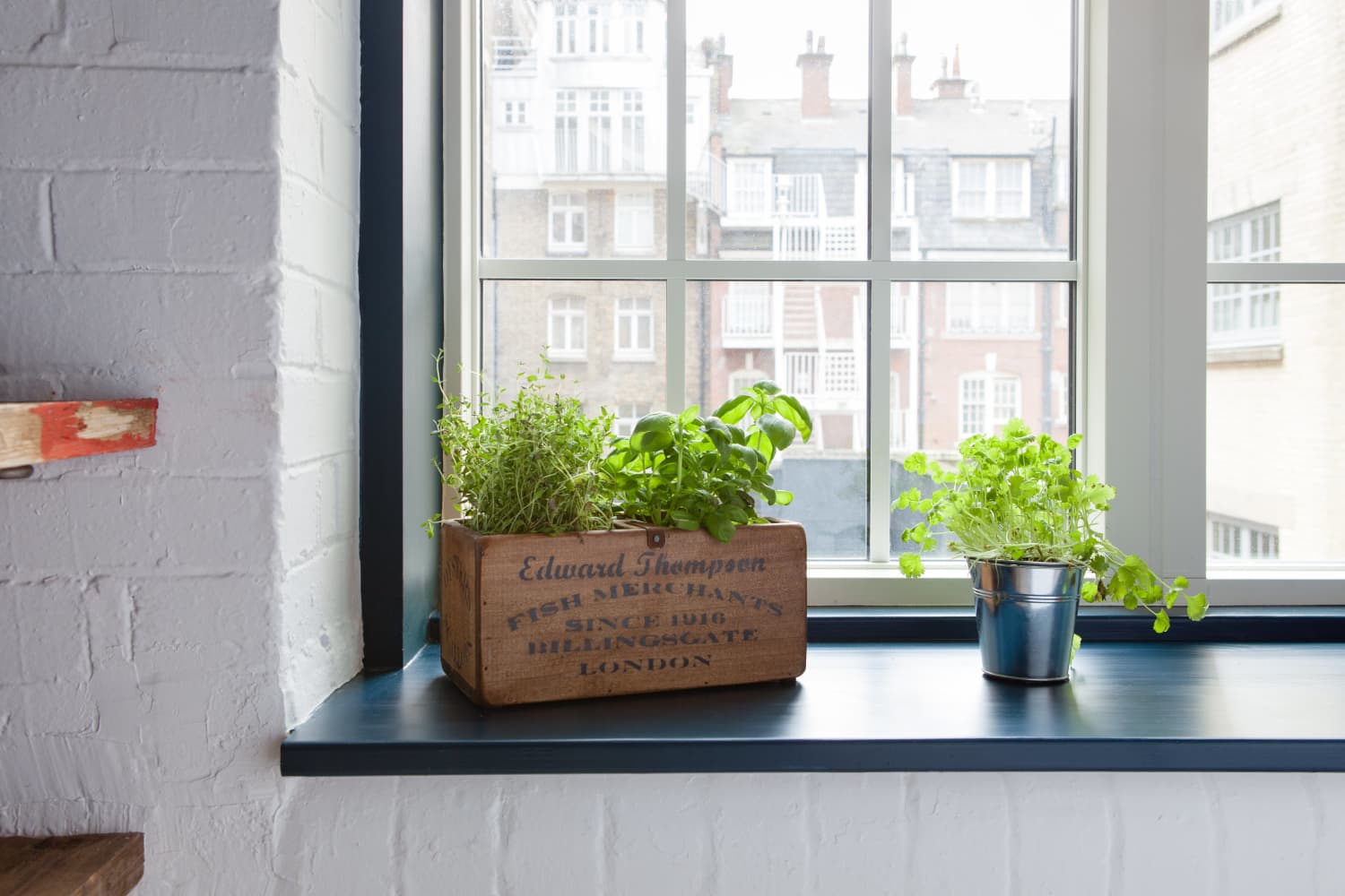 8 Planters That Will Help Keep Your Herbs Alive No Matter What