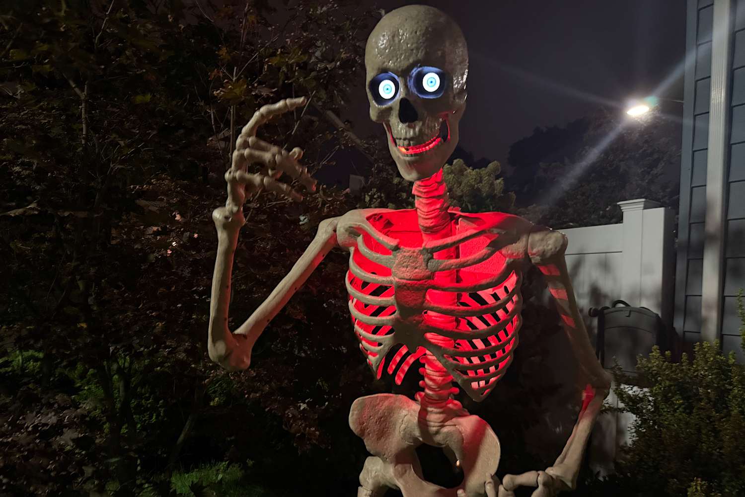 I Tried Home Depot's Mini Version of The 12-Foot-Tall "Skelly," and It's Perfect for My Small Yard