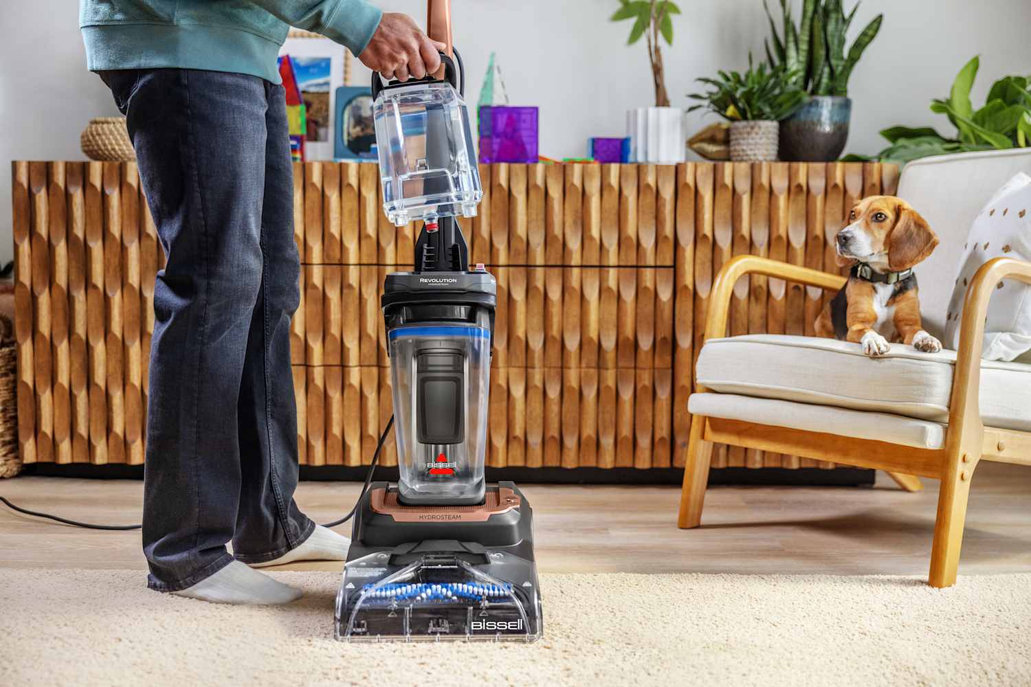 6 of the Best Rug and Upholstery Cleaners for All Types of Messes ...