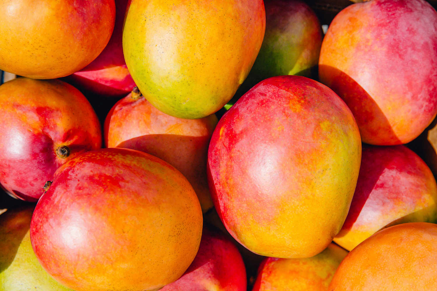 Die Leute entdecken gerade diesen brillanten Trick, um die besten Mangos ...