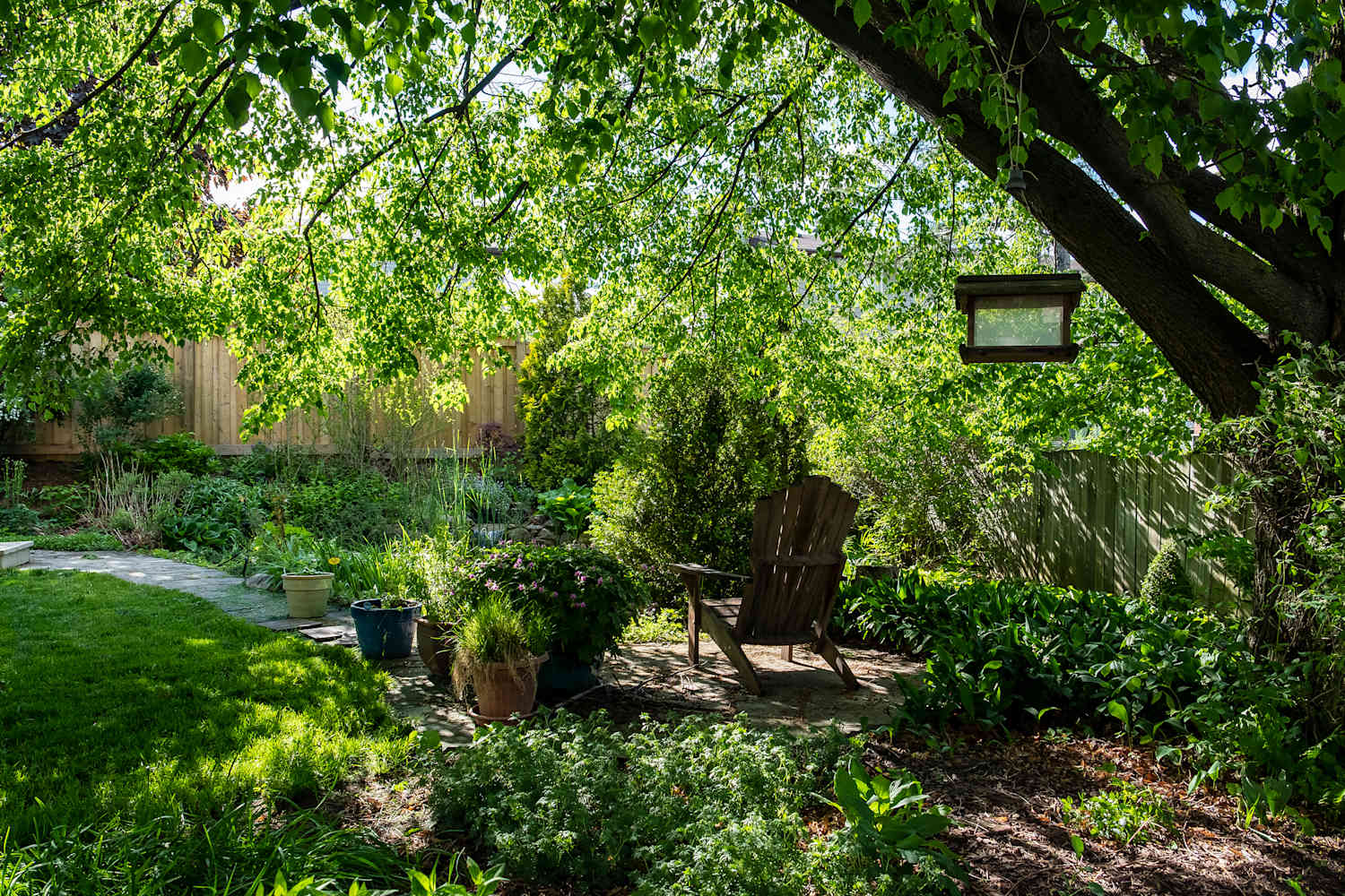I Gave My Dad This High-Tech Bird Feeder - The Photos Are Hilarious (and Nature Mag Worthy!)