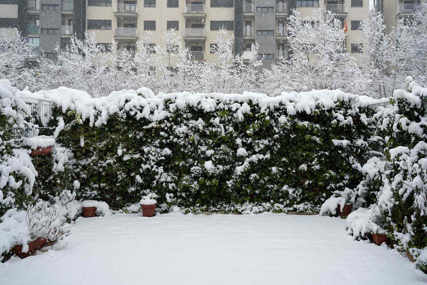 The Holy Grail Winter Product That Stands Up to Snow, Rain, and Sleet (I Use It Every Day)