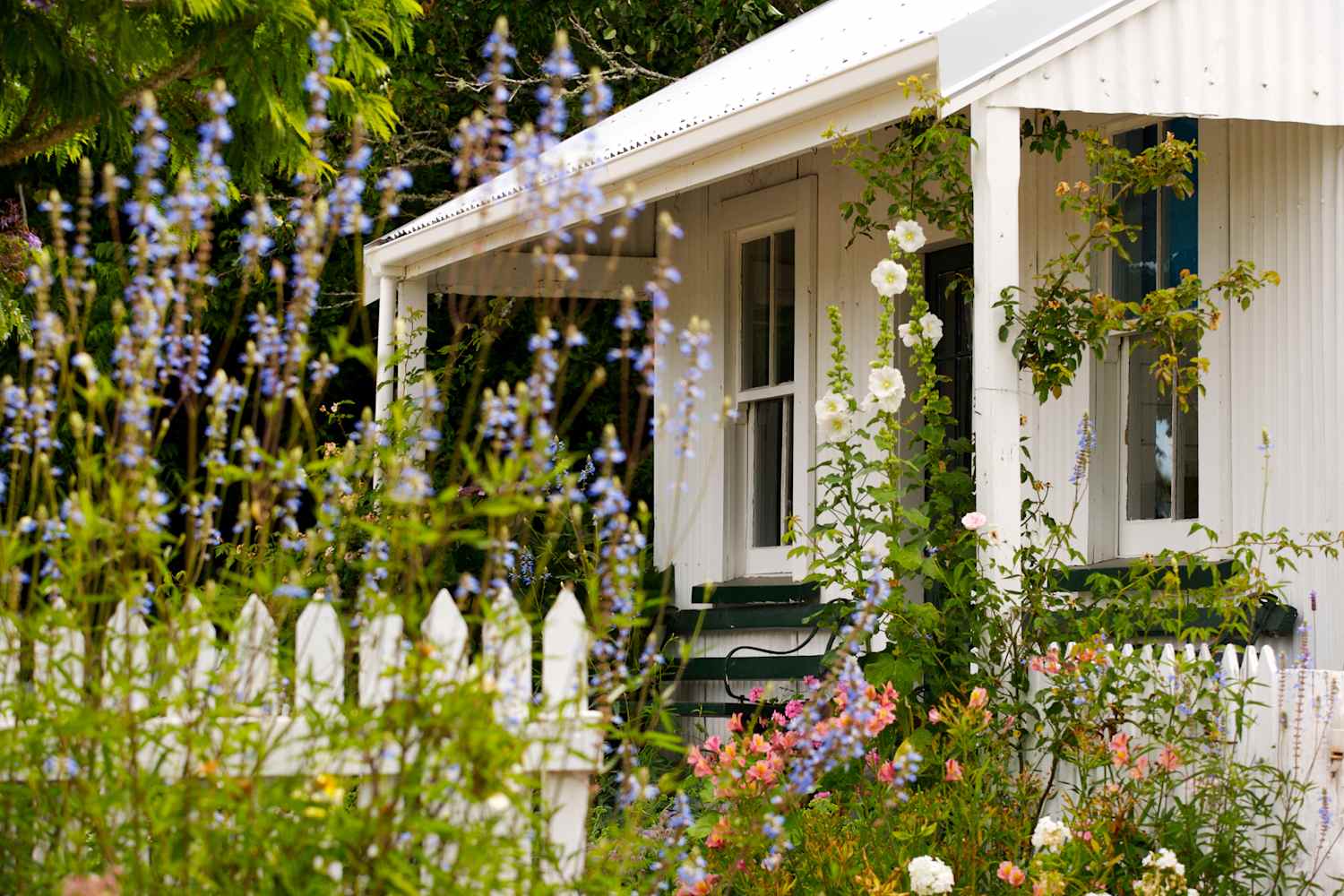 This "Heirloom" Trend Transformed My Garden Just in Time for Spring