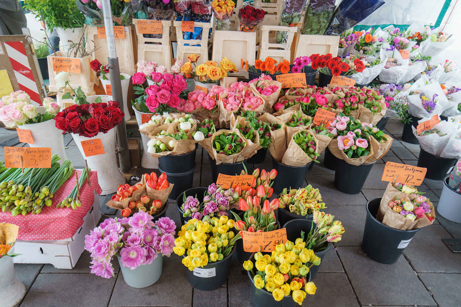 I Learned the Hidden Meaning of Each Birth Flower, and It's Transformed How I Gift