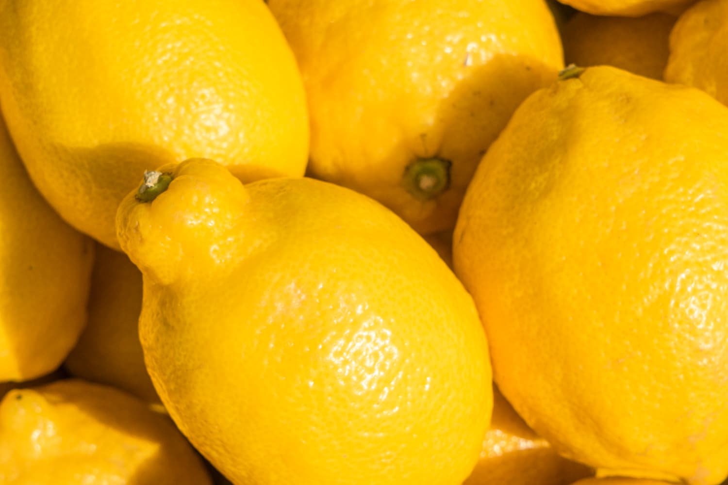 Free Photo  Close-up fresh lemons in a bag