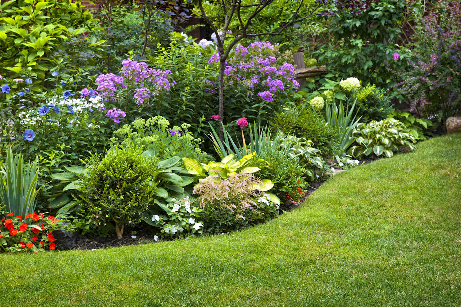 5 Yard Decisions Landscapers Warn You'll Soon Regret
