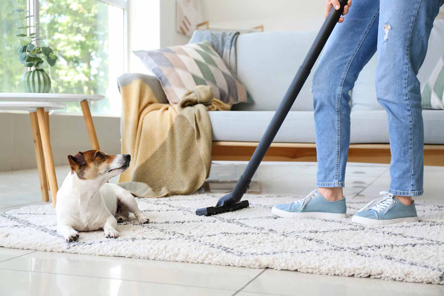 Calling All Fur-Parents: We Found 6 Cordless Vacuums for Pet Hair That Actually Work
