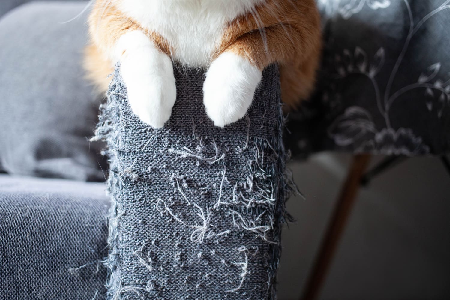 This DIYer Turned a Cat-Shredded Sofa Into a Work of Art