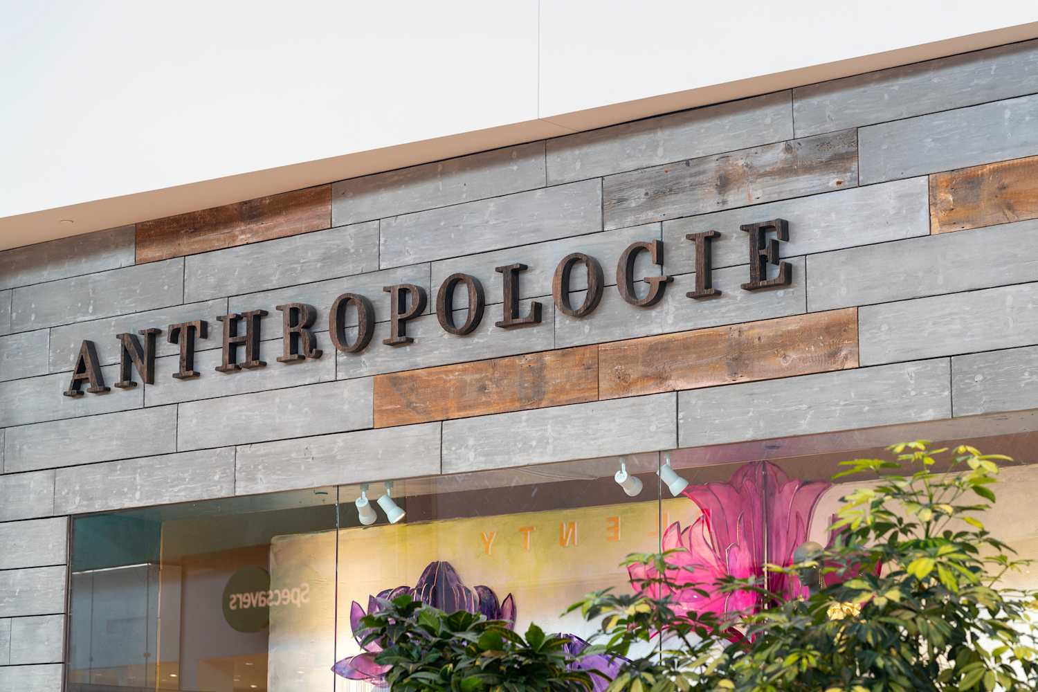 Anthropologie's Viral Juice Tumblers Are Back for Halloween (and 50% Off!)