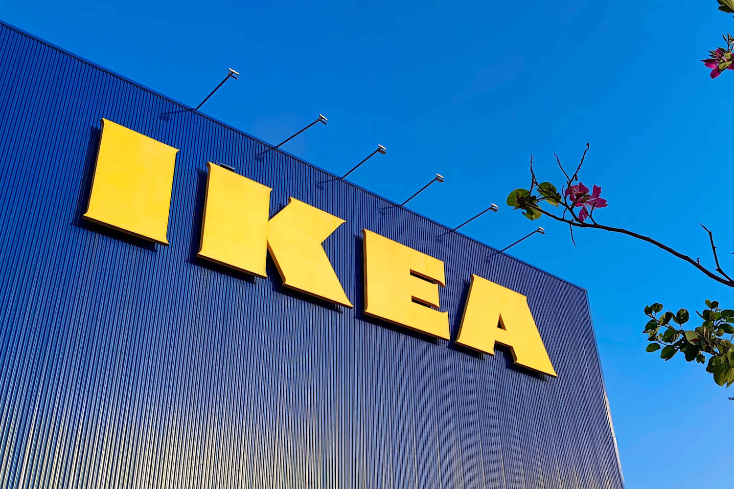 7 Cozy Storage Gems Pro Organizers Would Buy at IKEA