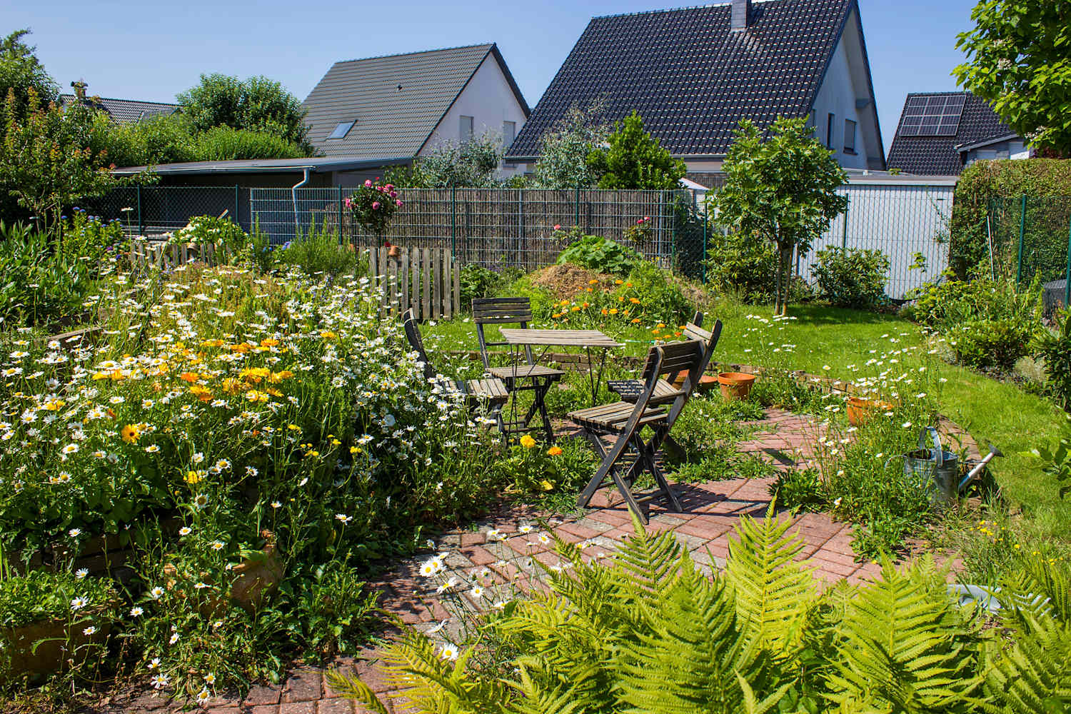 I'm Putting Soap in My Garden (the Reason Is Brilliant)