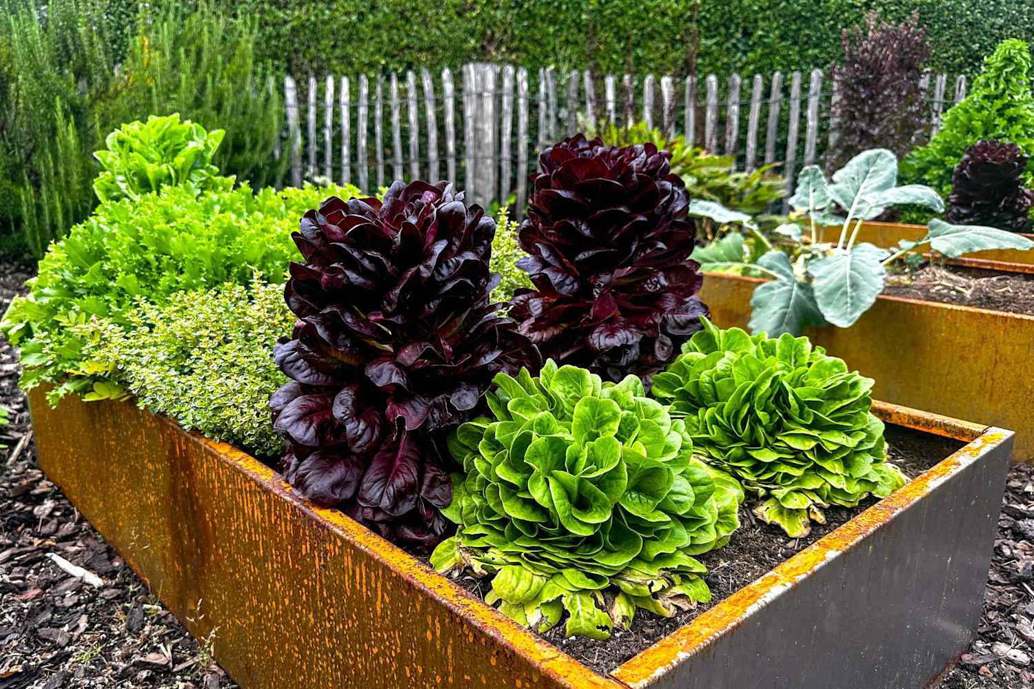 4 Ways to Keep Animals from Wrecking Your Garden, According to Pros