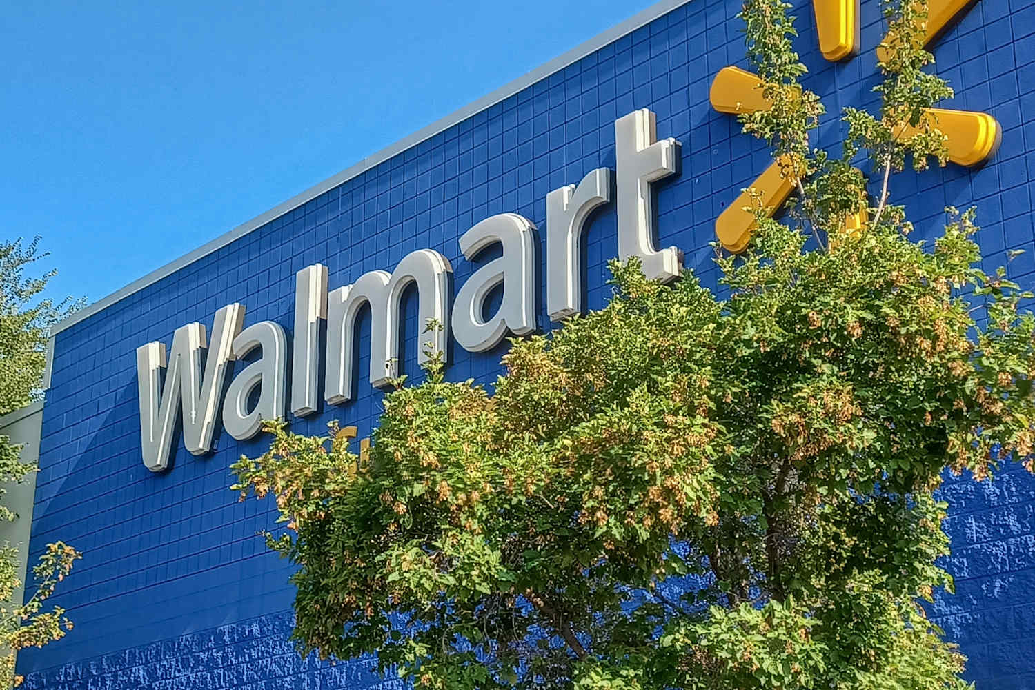 This $25 Walmart Lamp Nails a Very Luxe, Buzzy Designer Trend