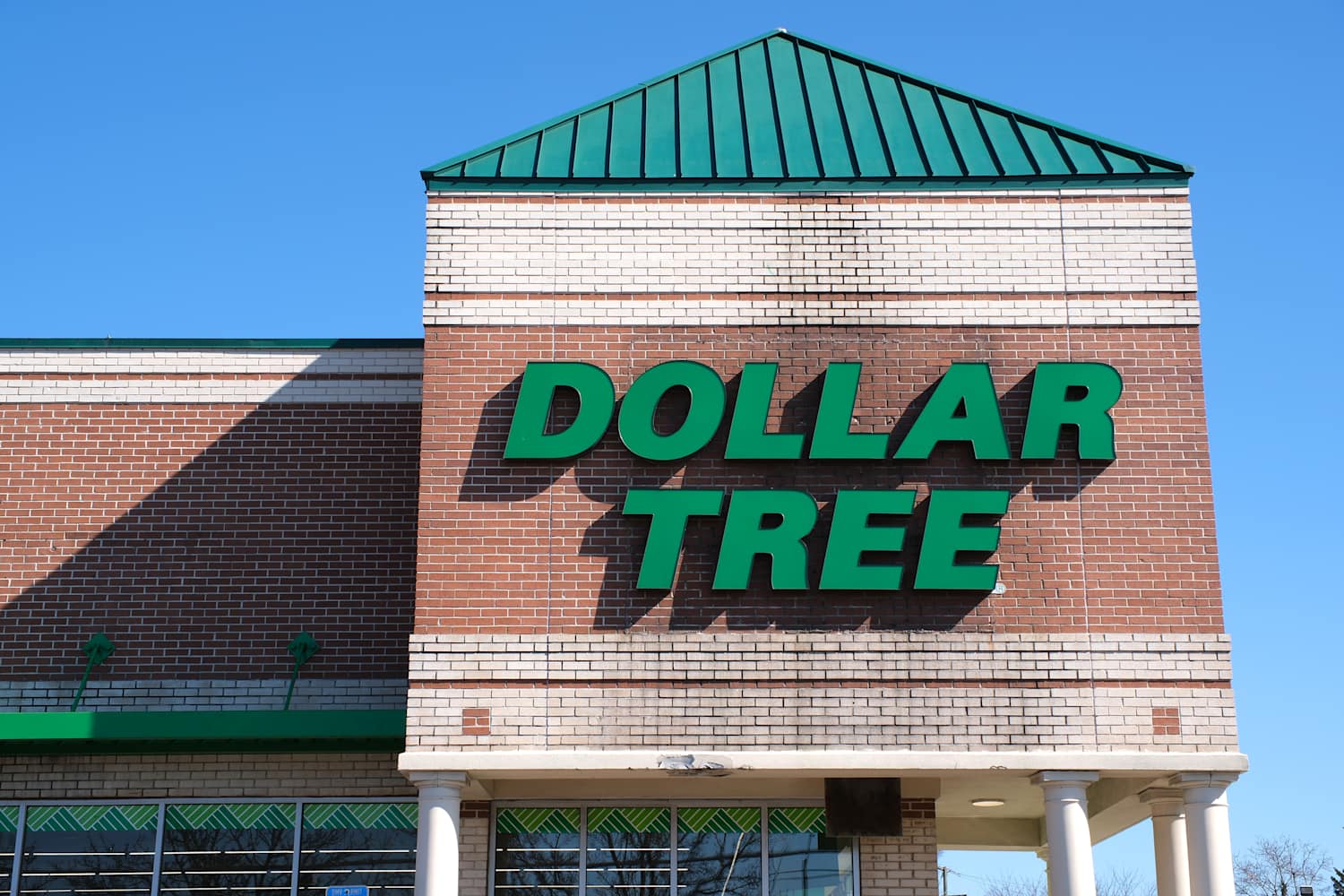 This Dollar Tree Storage Hack Is the Smartest Way to Organize Gardening Tools