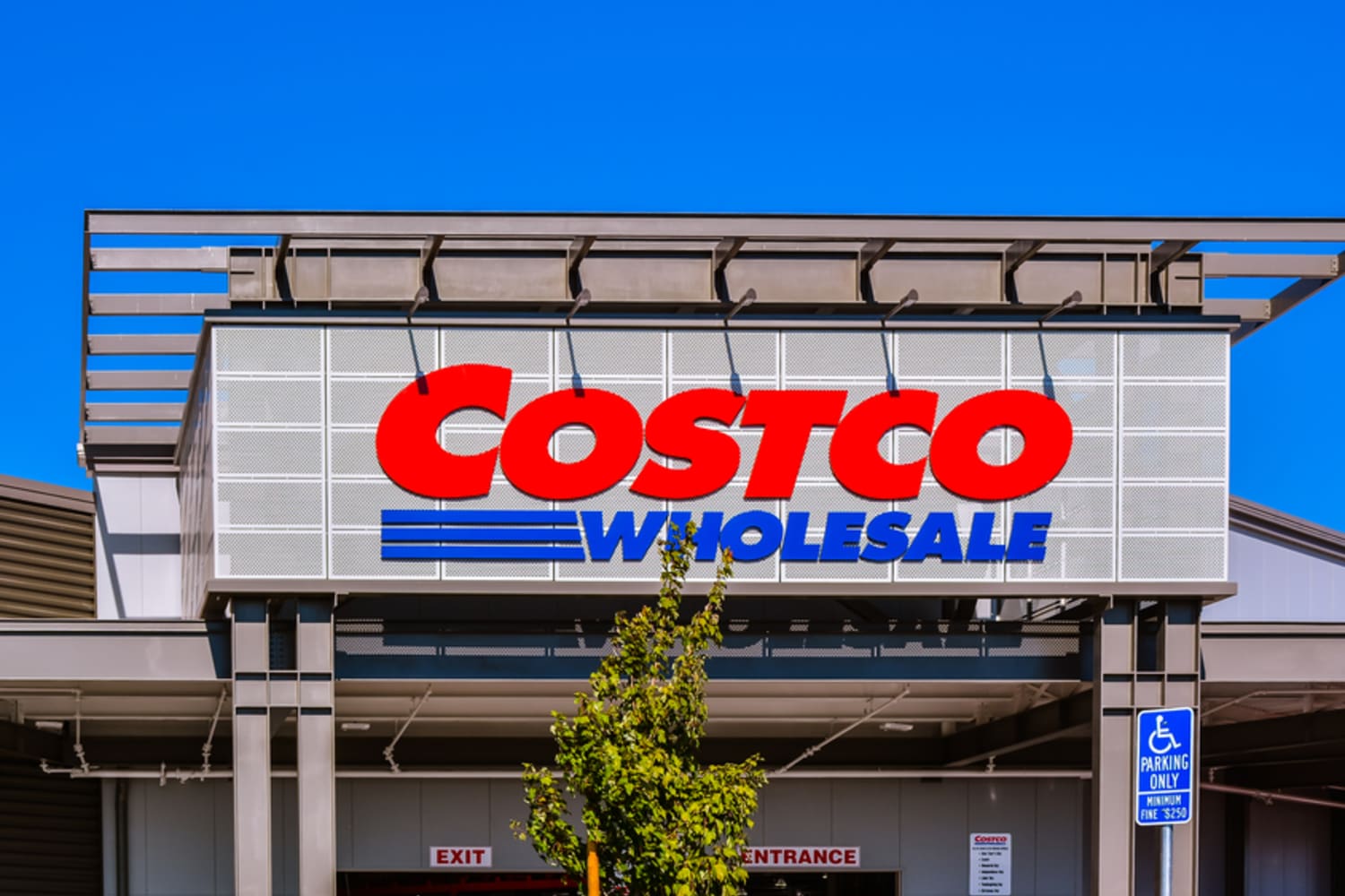 Costco vend des arbres à 20 $ pour le Nouvel An lunaire