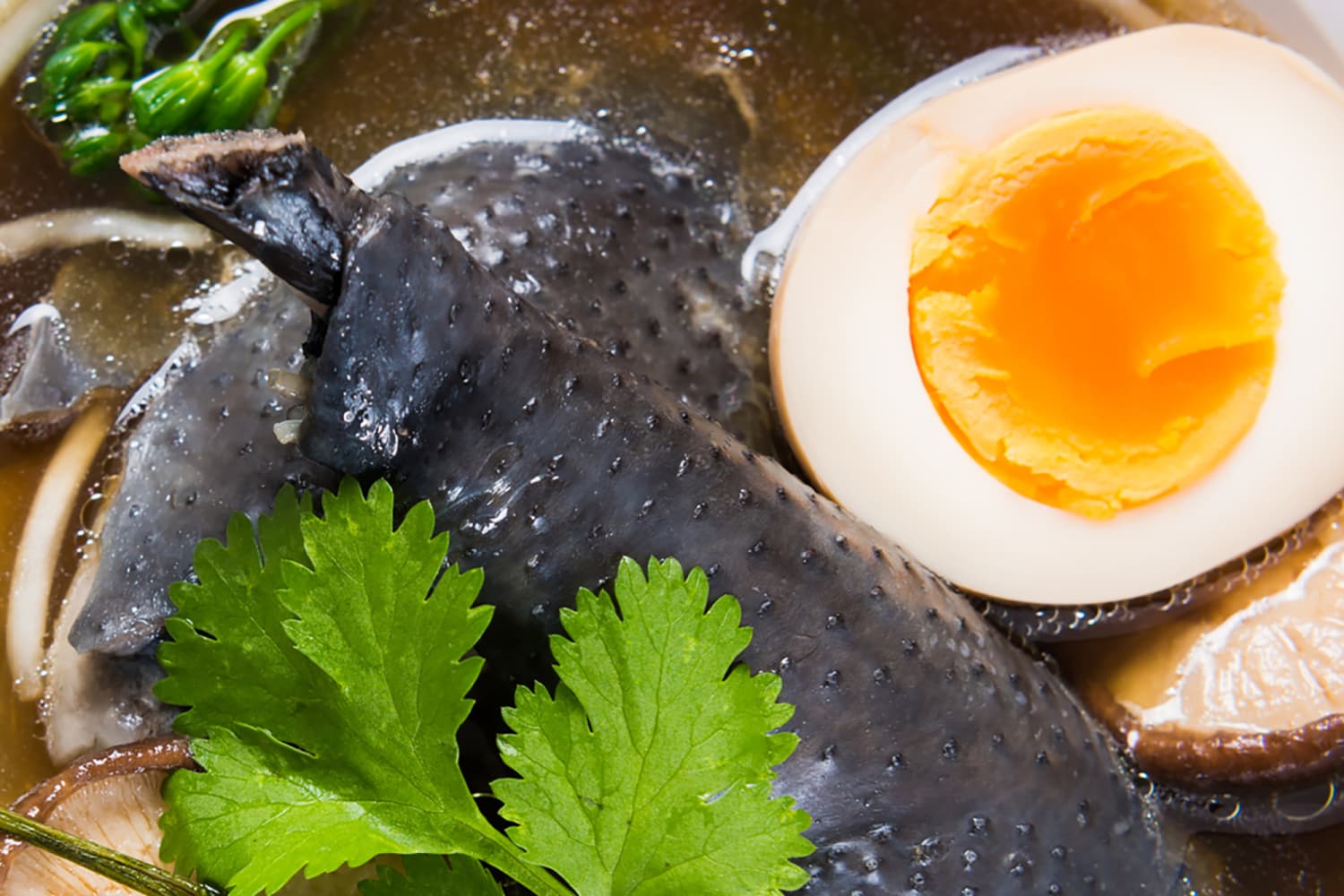 Everything You Need to Know About Black “Silkie” Chickens