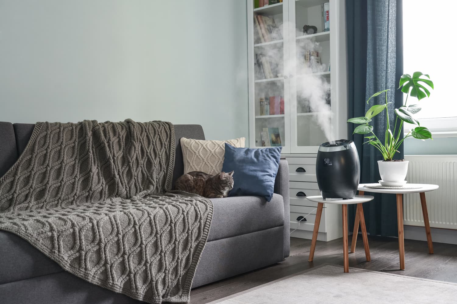 Vaporizers vs. Humidifiers: What’s the Difference? | Apartment Therapy