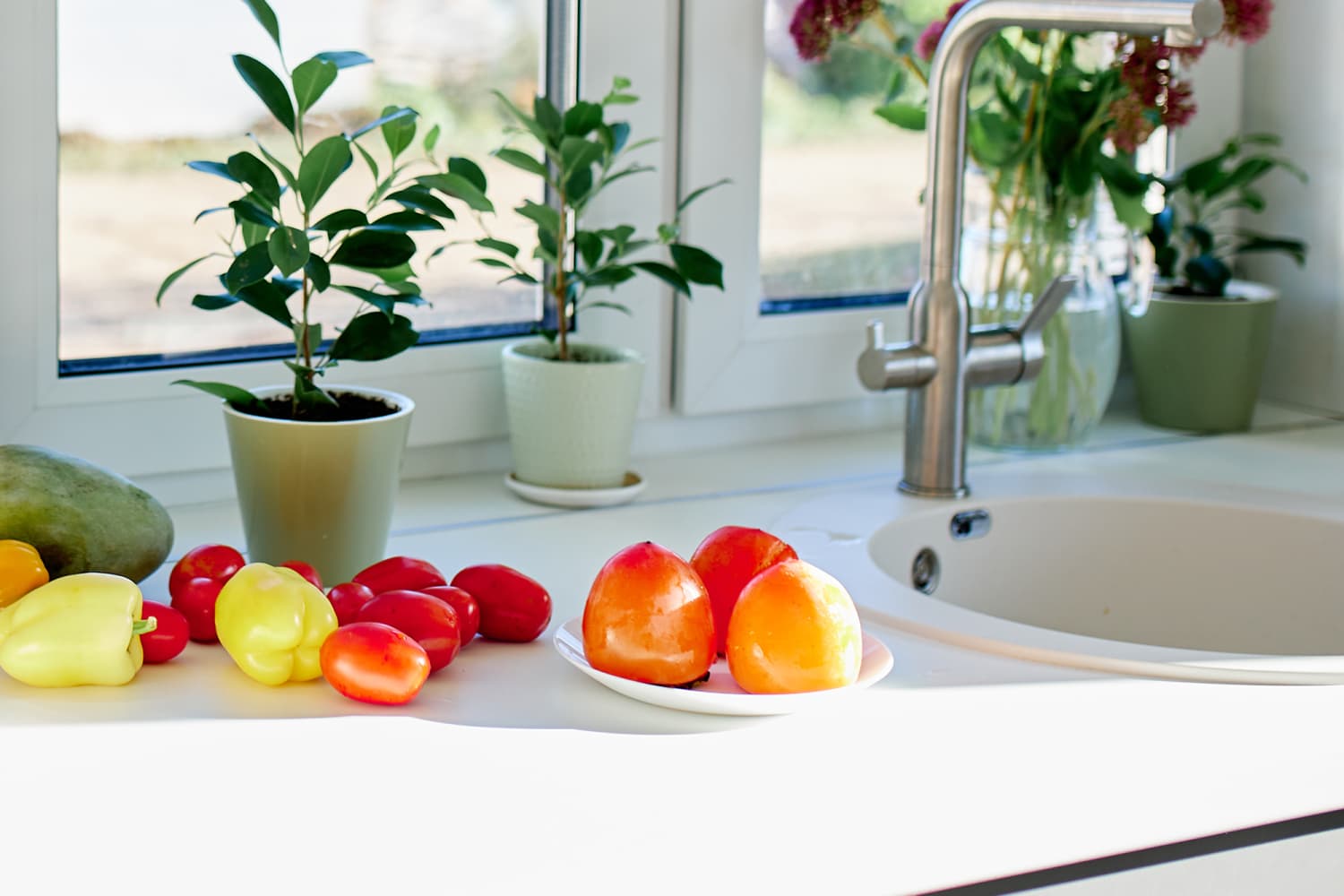 How to Get Rid of Gnats in the Kitchen The Kitchn