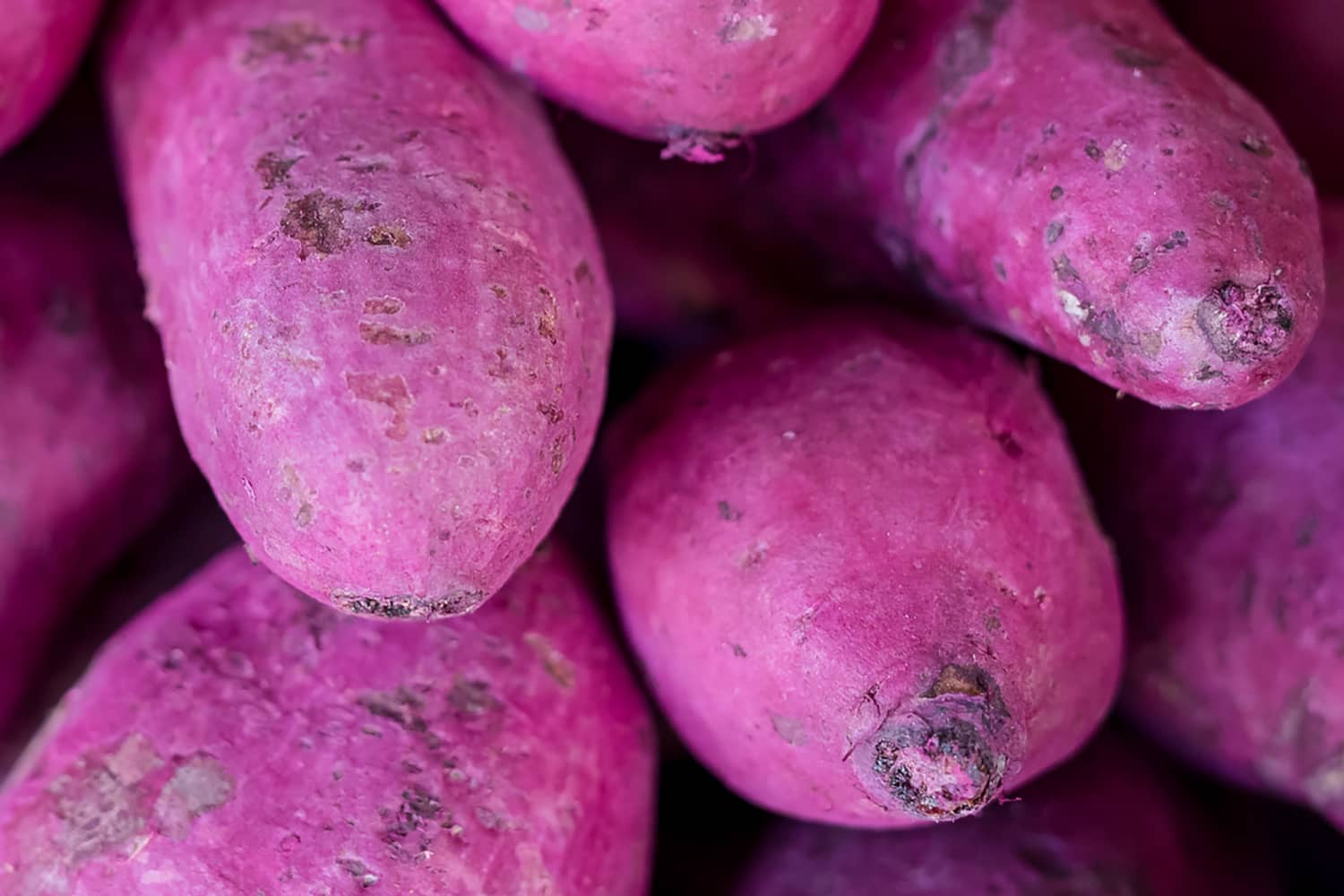 What is ube and what does it taste like the kitchn