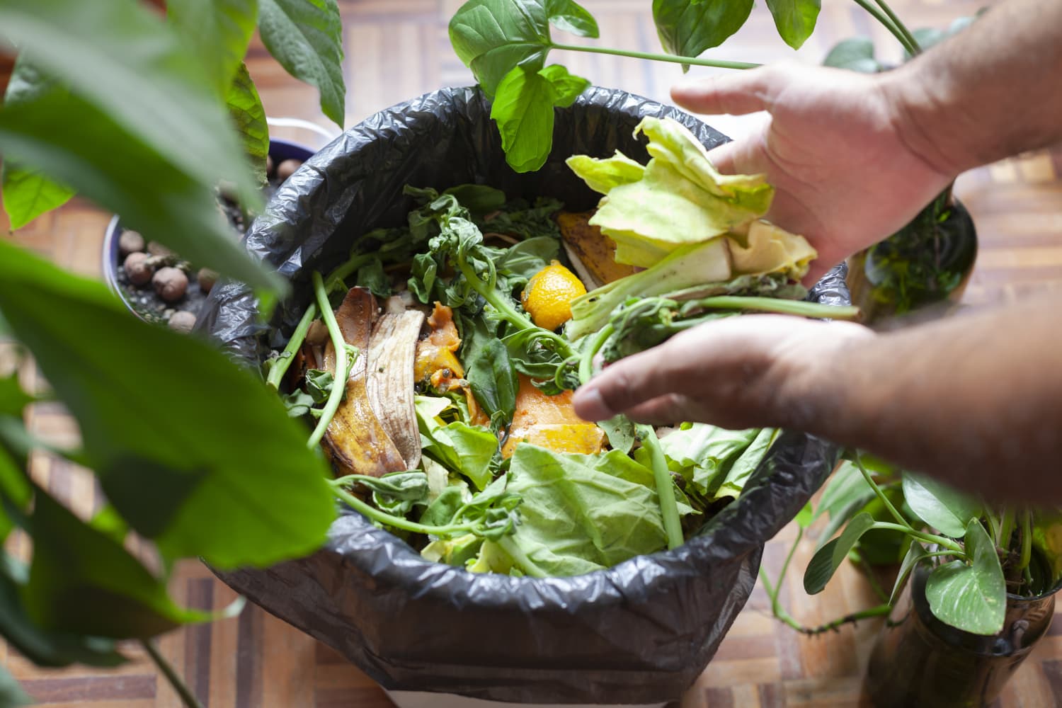 This Vitamix Totally Changed My Point of View on Composting (No, It’s Not a Blender!)