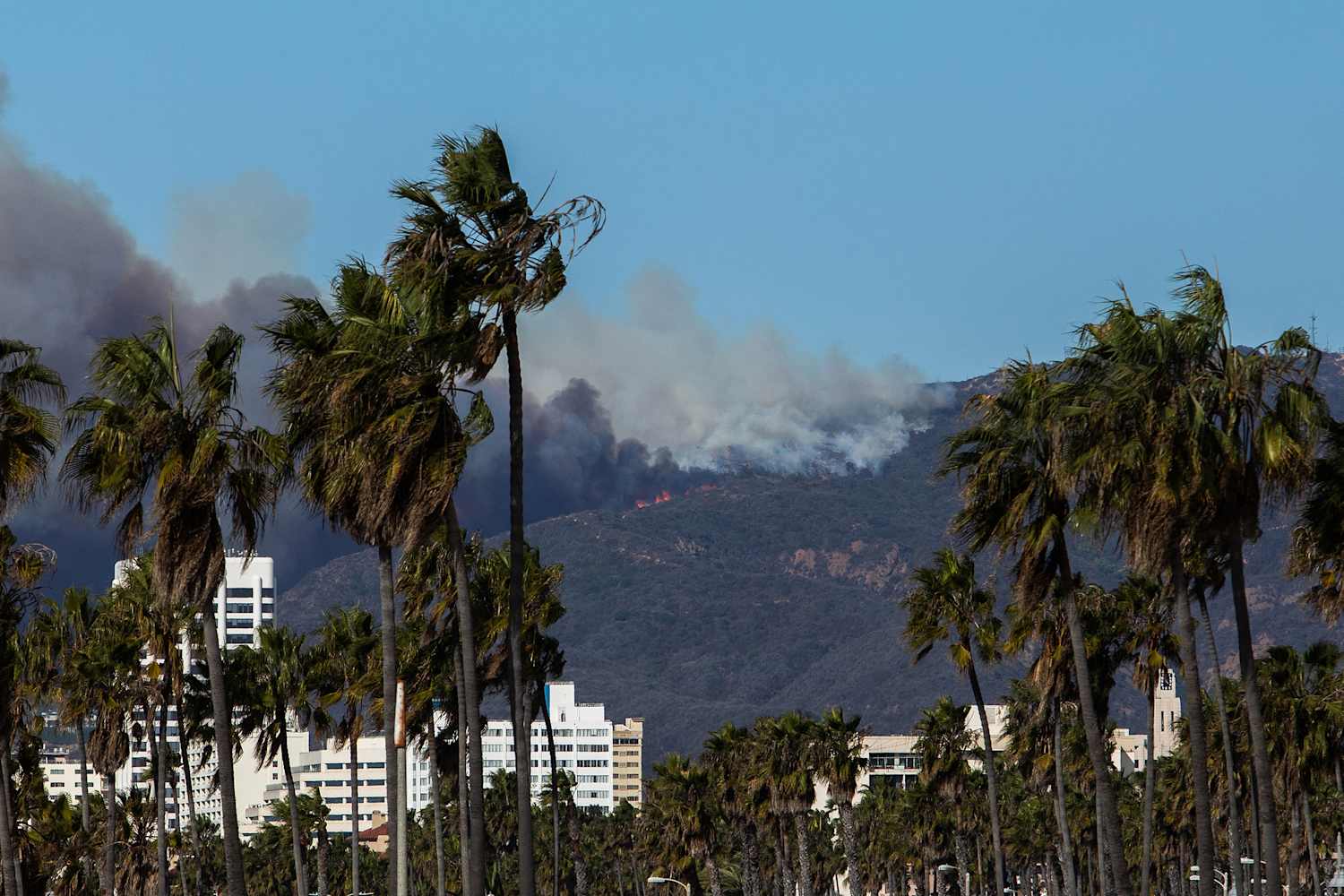 View of Los Angeles Wildfires: 9 Ways to Help | Apartment Therapy