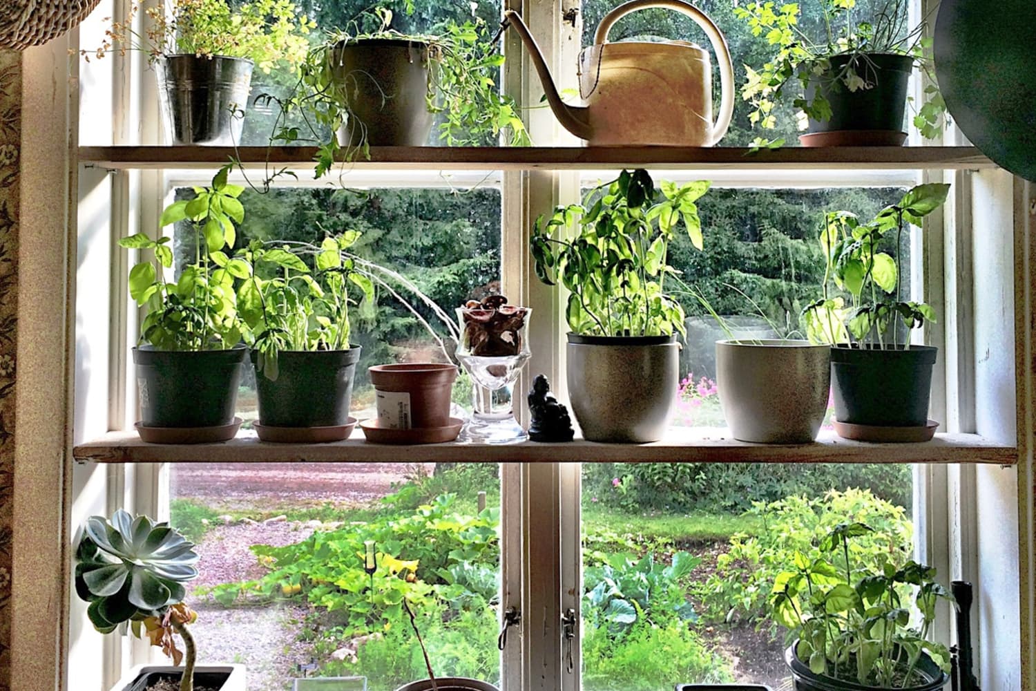How to Make Your Own Kitchen Window Herb Garden The Kitchn