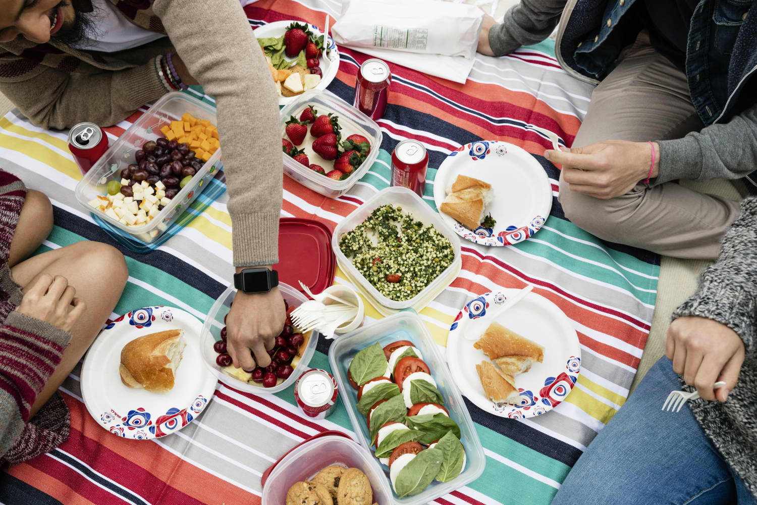12 Next-Level Picnic Bags That Have Everything from Built-in Speakers to Cutting Boards