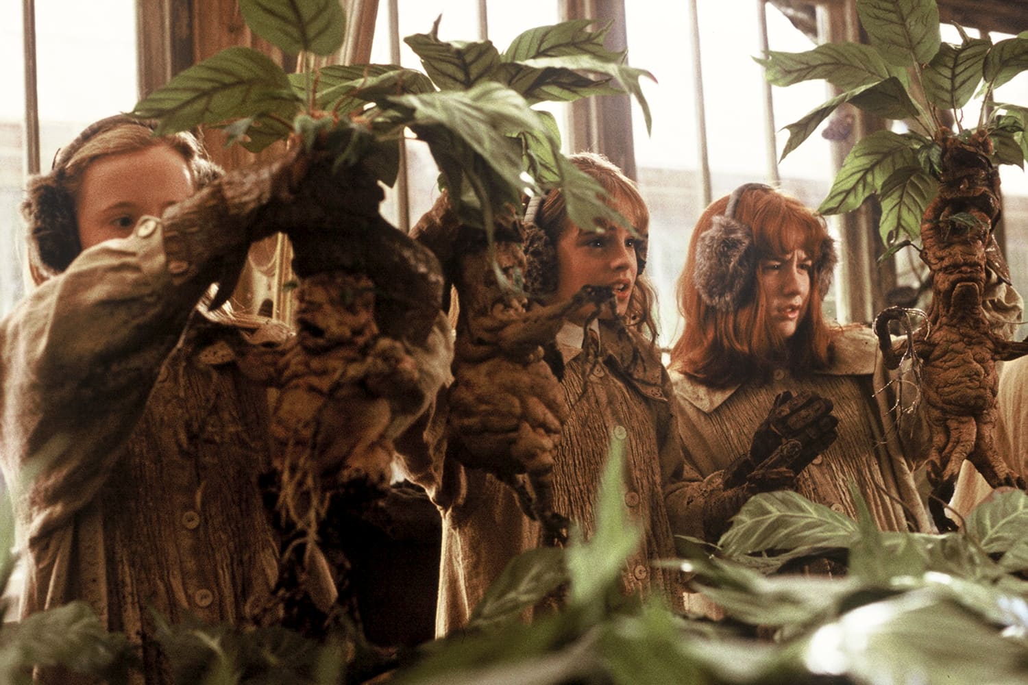 harry potter interactive mandrake
