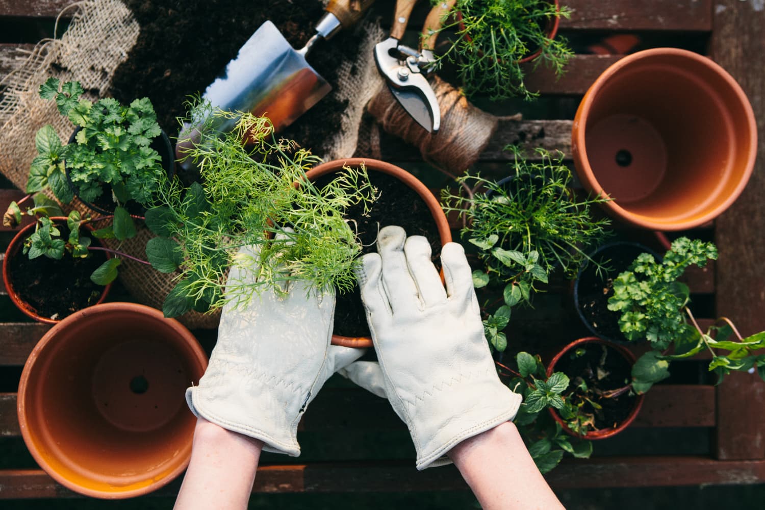 The Cutest Gardening Accessories to Help You Get Your Green Thumb