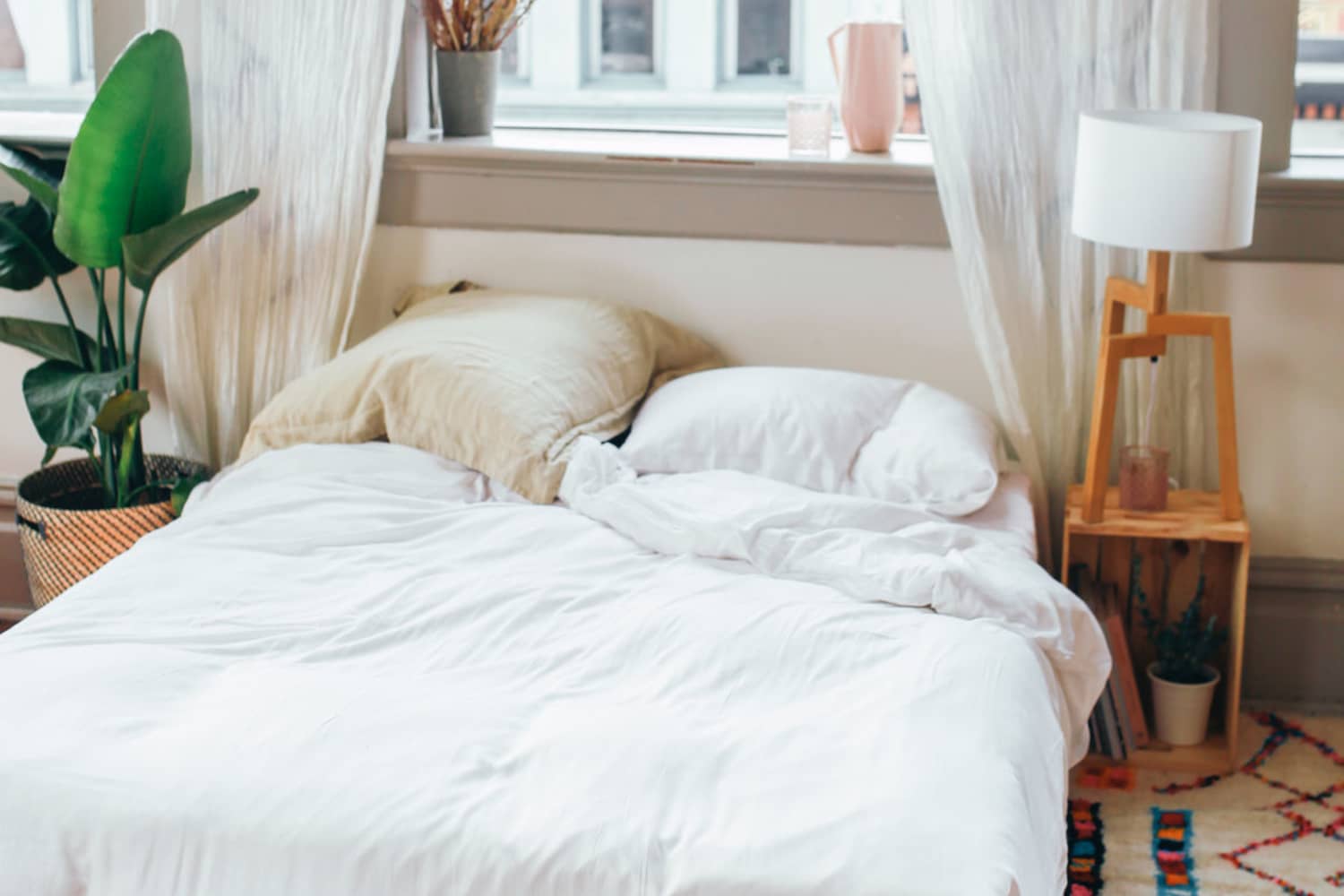 is it possible to get rid of bed bugs in an apartment