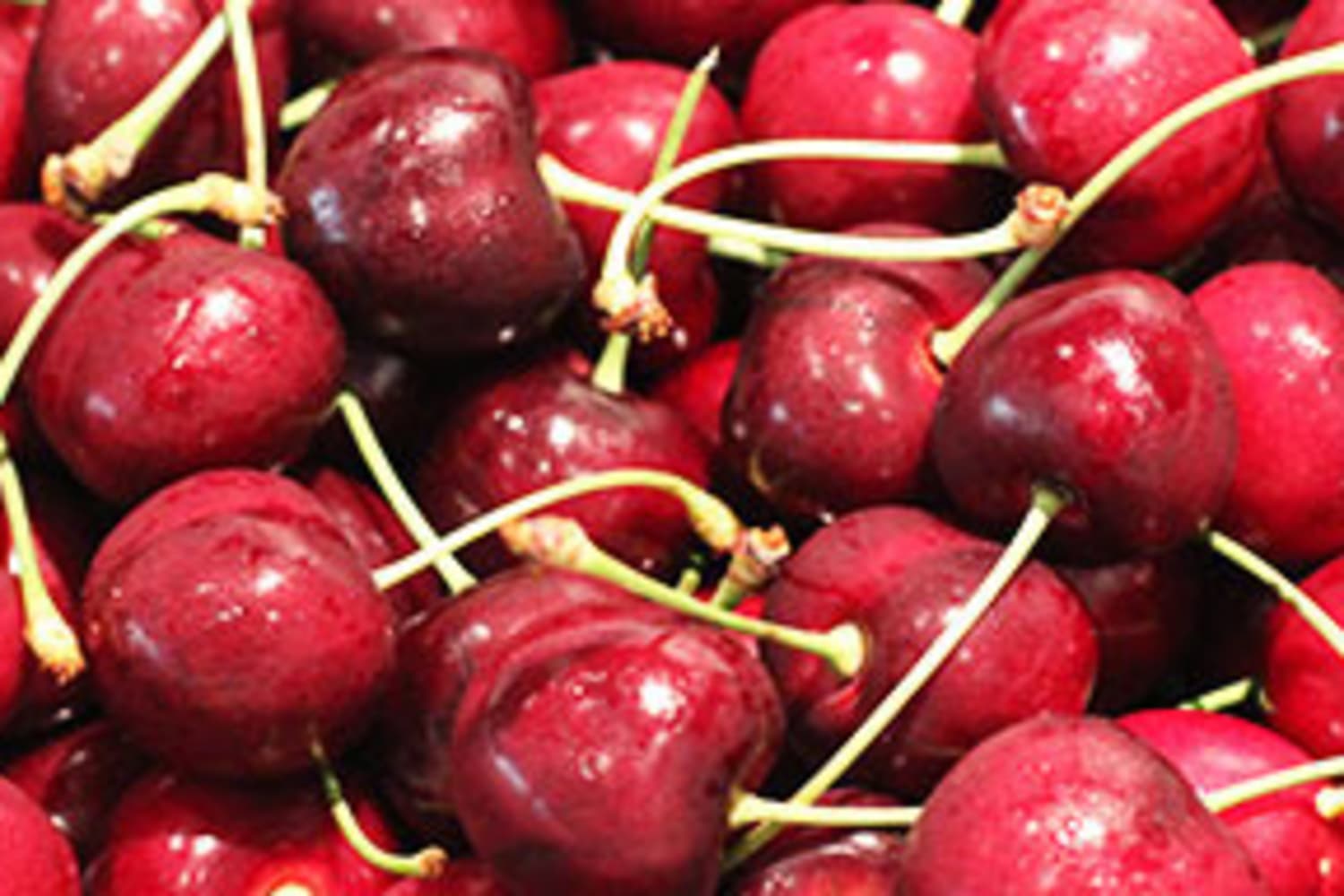 NoBake Cherry Bounty Bars Are the Sweet Treat You Need for the