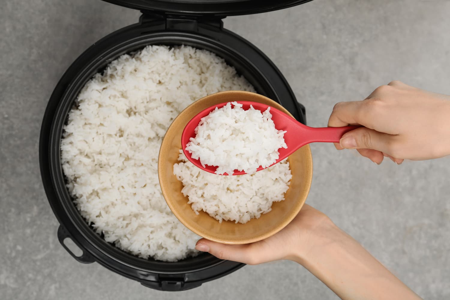 The Best BudgetFriendly Rice Cooker The Kitchn