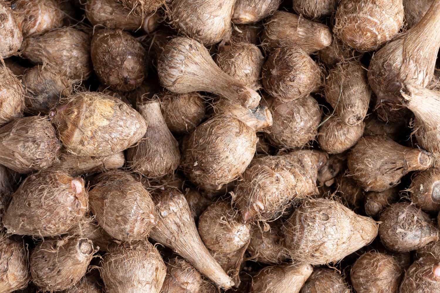 The Story Behind This Coco Yam Recipe Will Touch Your Heart & Your